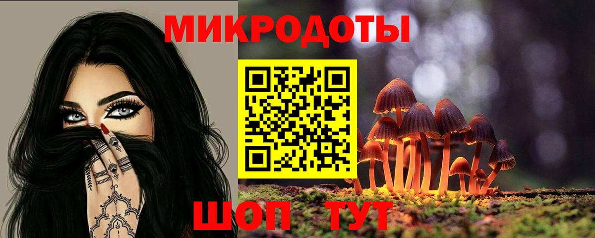 Нарткала  Псилоцибиновые грибы MAGIC MUSHROOMS  Вход с VPN 